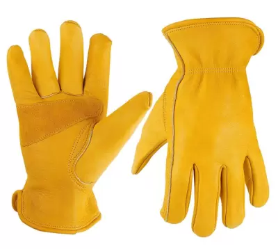 cow-grain-leather-driver-gloves-tbi-dg136-29439-1778938335