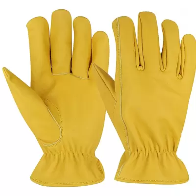 leather-driver-gloves-tbi-dg132-401923-1778933609